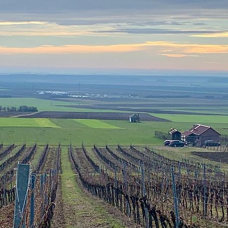 Kuca Za Odmor Kiss-Karanac,Baranja Villa ภายนอก รูปภาพ