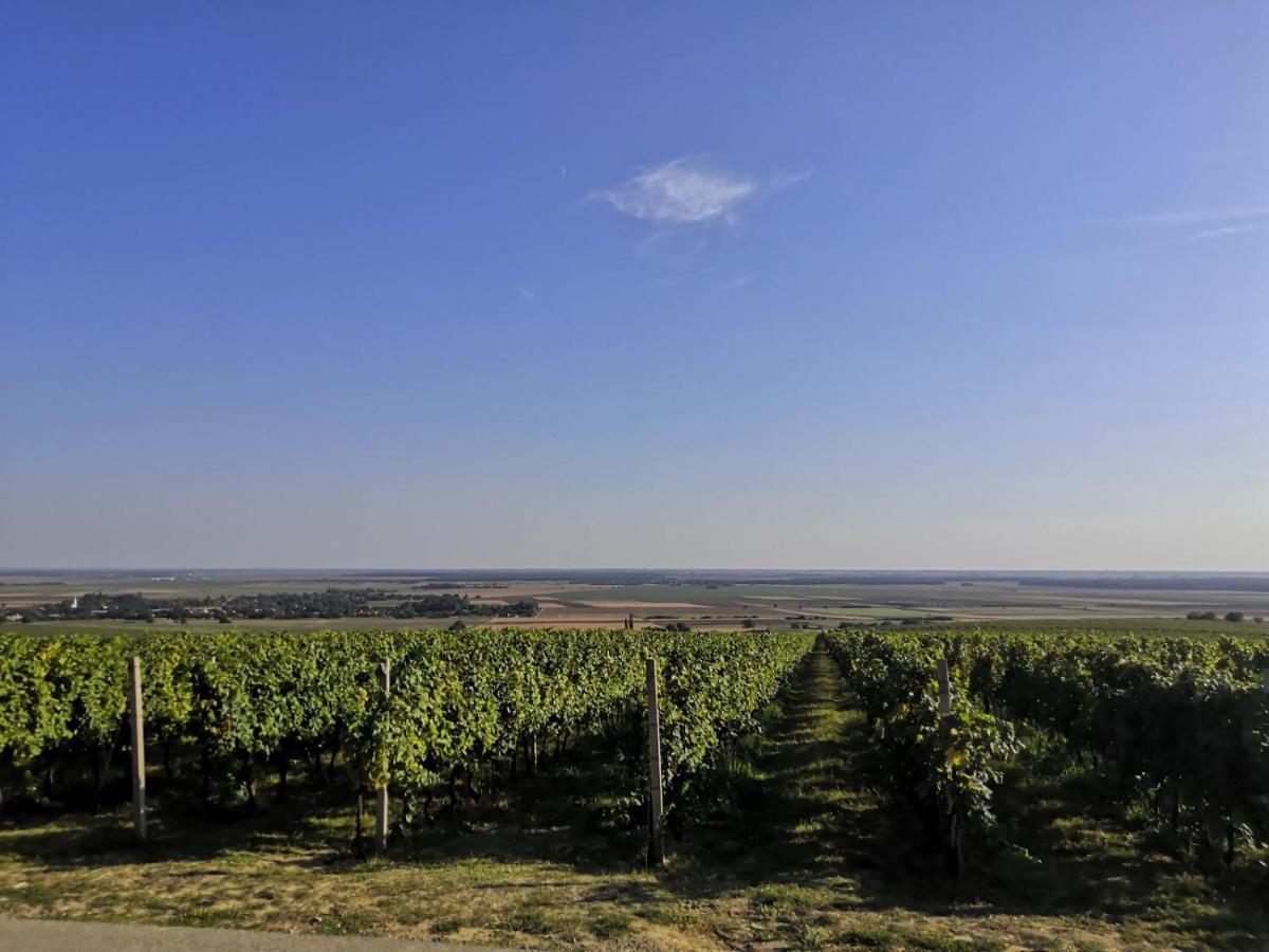 Kuca Za Odmor Kiss-Karanac,Baranja Villa ภายนอก รูปภาพ