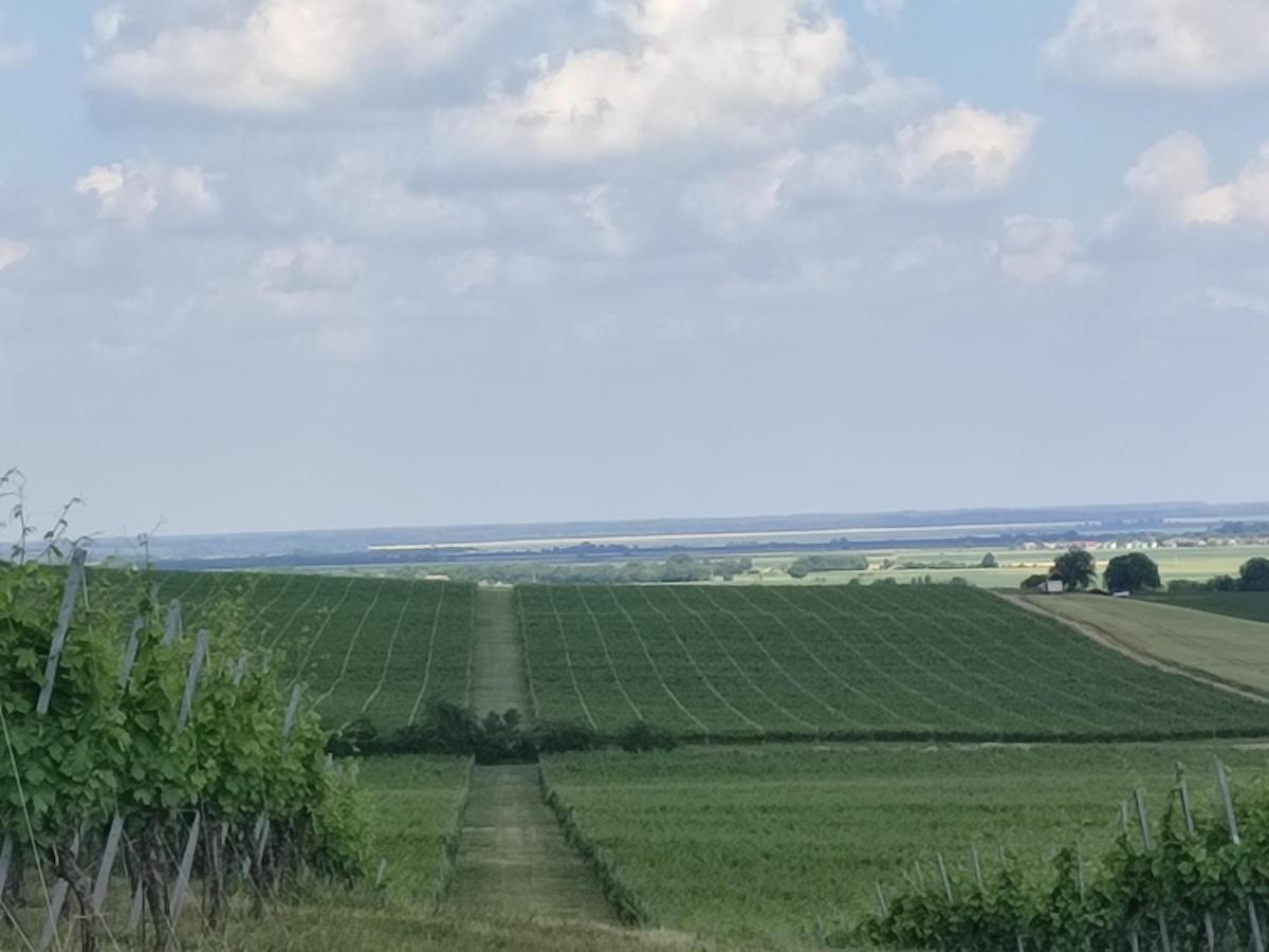 Kuca Za Odmor Kiss-Karanac,Baranja Villa ภายนอก รูปภาพ