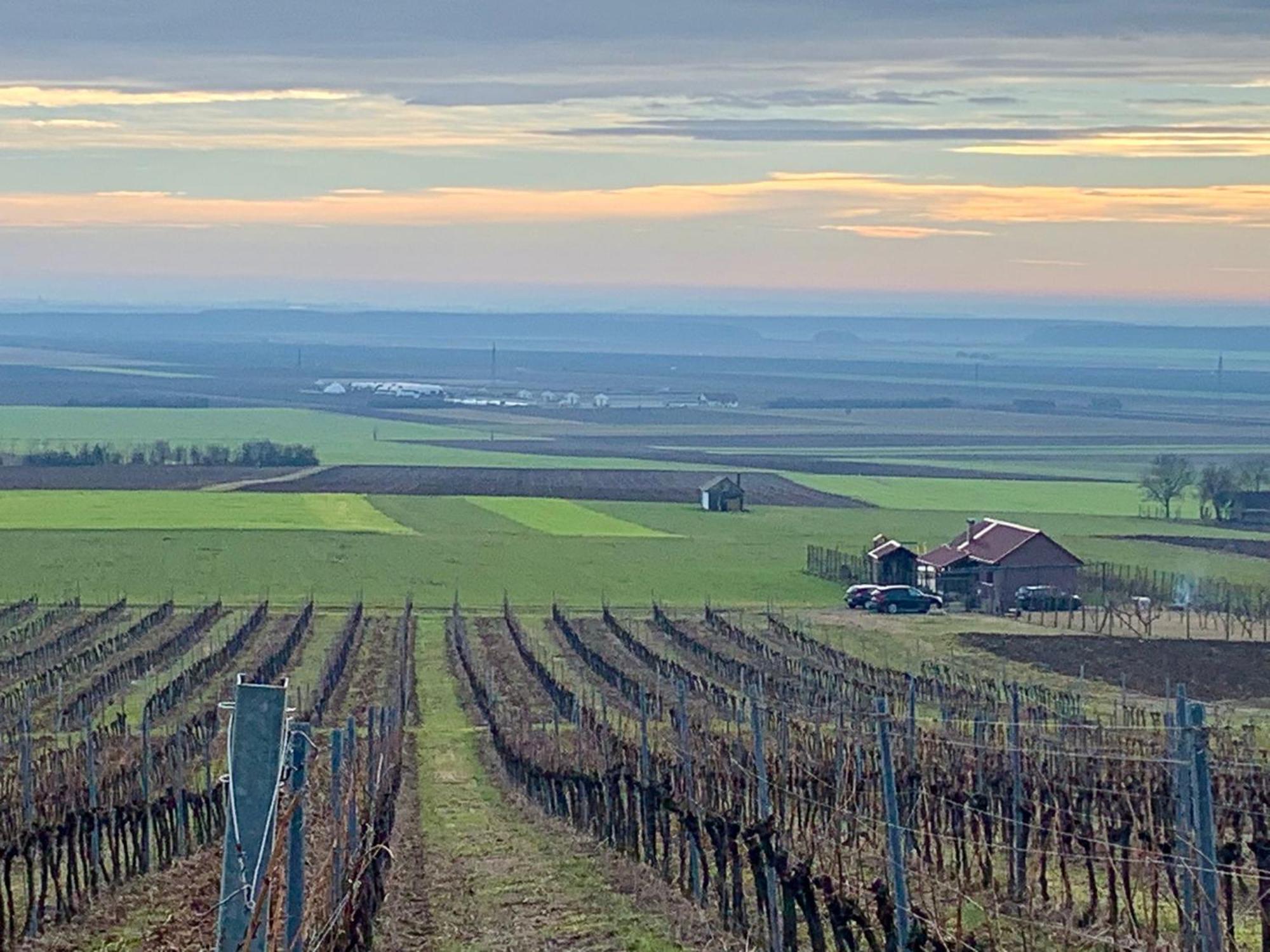 Kuca Za Odmor Kiss-Karanac,Baranja Villa ภายนอก รูปภาพ
